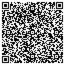 QR code with Price Authomotive Group contacts