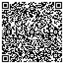 QR code with Premiere Cellular contacts