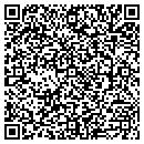 QR code with Pro Systems Pc contacts