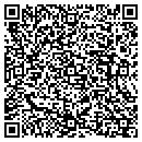 QR code with Protec It Solutions contacts