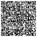 QR code with Protec It Solutions contacts