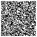 QR code with Premiums Max contacts