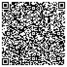 QR code with Spring Valley Wireless contacts