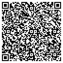 QR code with Citi Construction Co contacts