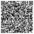 QR code with P Sales contacts