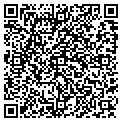 QR code with Desteo contacts
