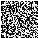 QR code with Propeller Inc contacts