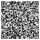 QR code with Promineon Inc contacts