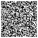 QR code with Cyber Scapes Limited contacts