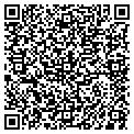 QR code with Tntauto contacts