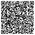 QR code with Teddys contacts