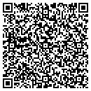 QR code with Pqt Wireless contacts