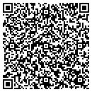 QR code with Project Solutions LLC contacts