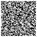 QR code with Pro Tops Inc contacts