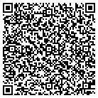 QR code with Public Storage Inc contacts