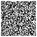 QR code with Carters Auto Tech Inc contacts