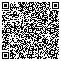 QR code with Lifeworx contacts