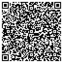 QR code with Cornucopia Software contacts