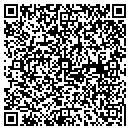 QR code with Premier Auto Brokers LLC contacts