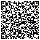 QR code with Chaney's Nursery Inc contacts
