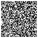 QR code with Cedar Lake Wireless contacts