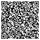 QR code with Pro Cellular contacts