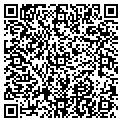QR code with Wireless Toyz contacts