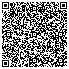 QR code with Professional Touch contacts
