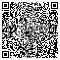 QR code with 13Pt contacts