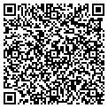 QR code with L Cell contacts