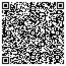 QR code with Pulse Technologies contacts