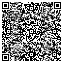 QR code with Purveyor Systems contacts