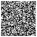 QR code with Pro Telecom Service contacts