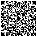 QR code with Pulse Telecom contacts
