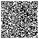 QR code with Pyramid Studios contacts