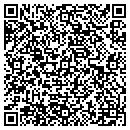 QR code with Premium Wireless contacts