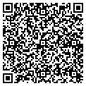 QR code with Spago contacts