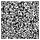 QR code with ProfitRhino contacts