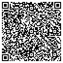 QR code with Precision Telecom Inc contacts