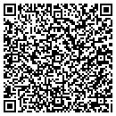 QR code with Premier Telecom contacts