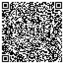 QR code with Pvs International Inc contacts