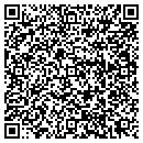 QR code with Borrego Publications contacts