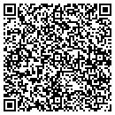 QR code with Ppr Automotive LLC contacts