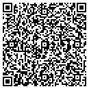 QR code with Bluetoad Inc contacts