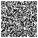 QR code with Promo Wireless LLC contacts