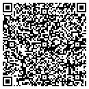 QR code with Blaney Auto Crushing contacts