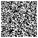 QR code with Central Systems Inc contacts