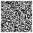 QR code with Pukalanis Telecom Inc contacts