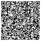 QR code with Professional Exteriors contacts