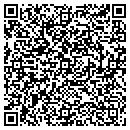 QR code with Prince Telecom Inc contacts